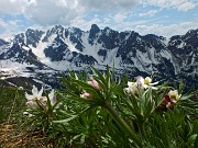 MONTE GARDENA (2117 m) dai Fondi di Schilpario, 25 maggio 2014